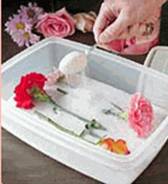 Drying flowers using Silica Gel